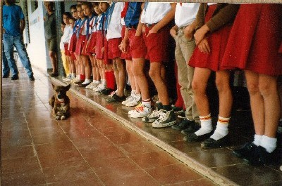 Der Schulhund war zum Abschied mit angetreten