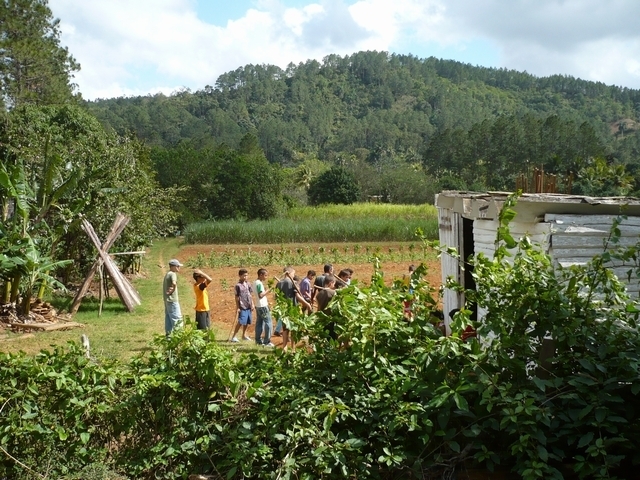 Arbeiten im Schulgarten