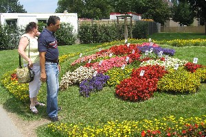 Th&uuml;ringer Kreise mit Blumen gestaltet